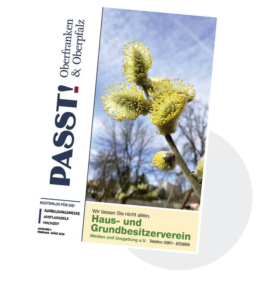 Ausgabe 4